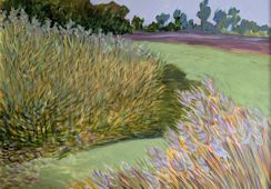 Corn Stalks and Phragmites